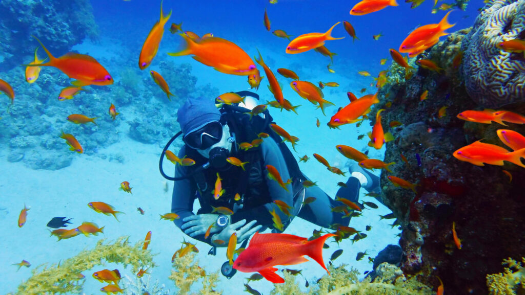 
Un plongeur en combinaison de plongée près d'un magnifique récif de corail avec des poissons tropicaux.