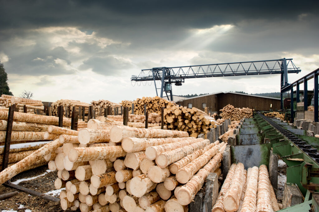 Eurobois 2024 : Le carrefour de l'innovation dans la filière bois