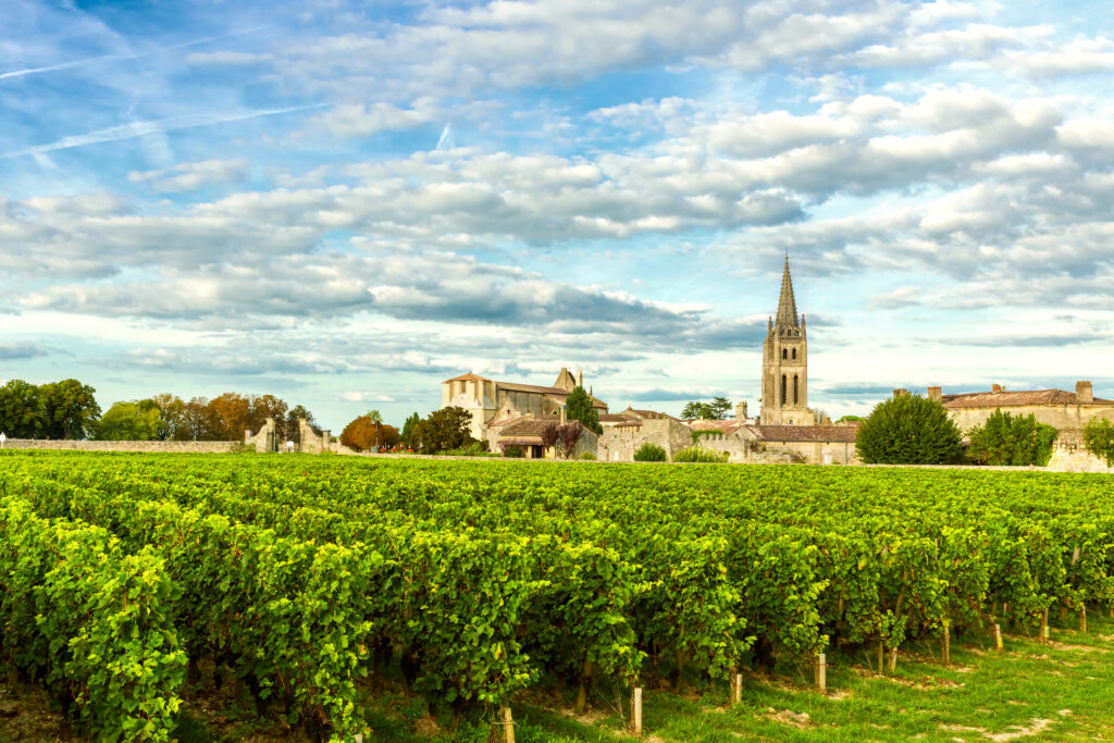 Vignoble Saint-Emilion