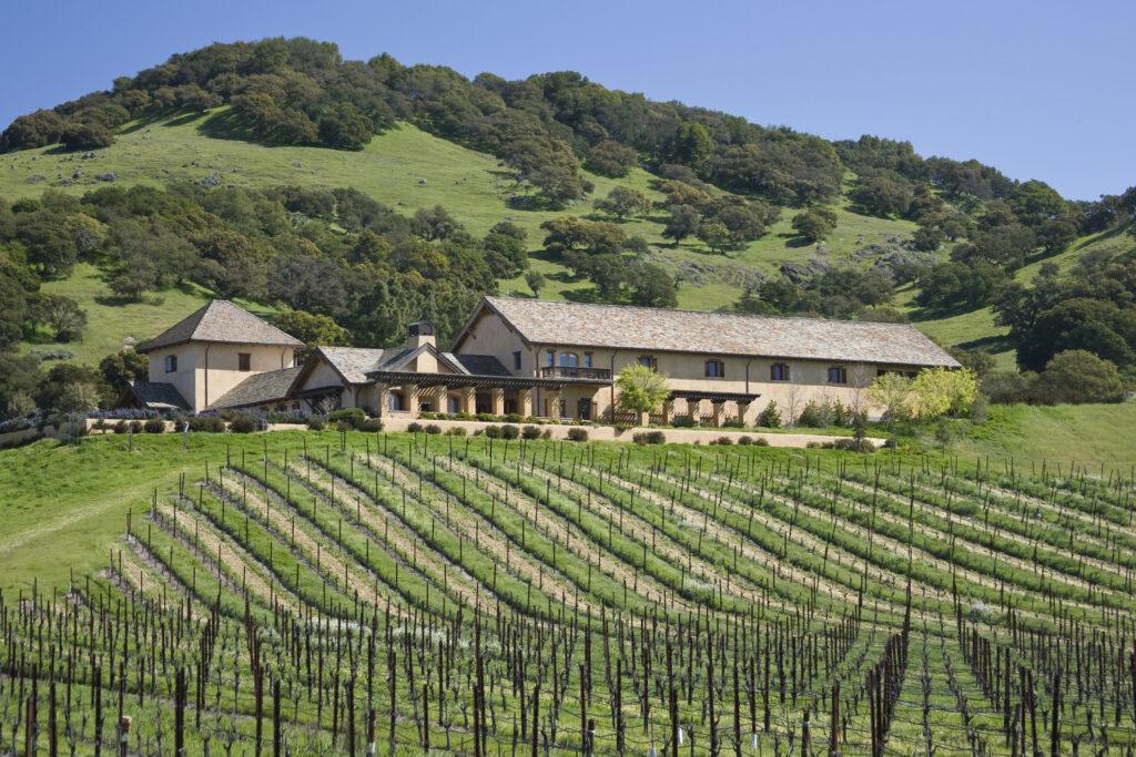 vignoble en France