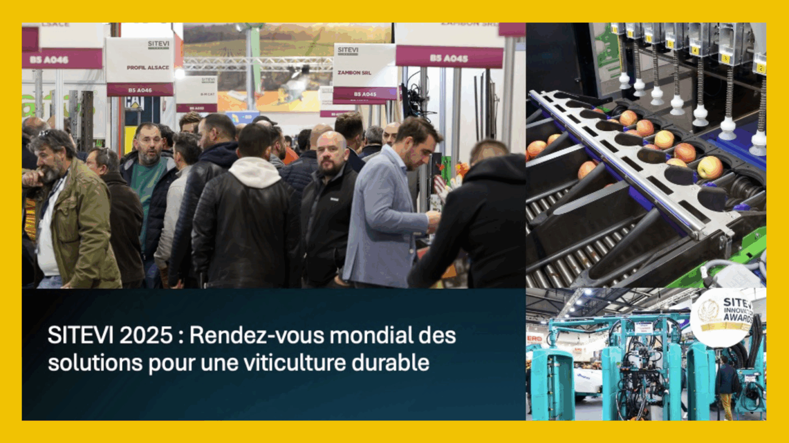 SITEVI 2025 : Le salon international des transitions pour la viticulture, l’arboriculture et l’oléiculture